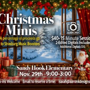 Christmas Mini Photo Session